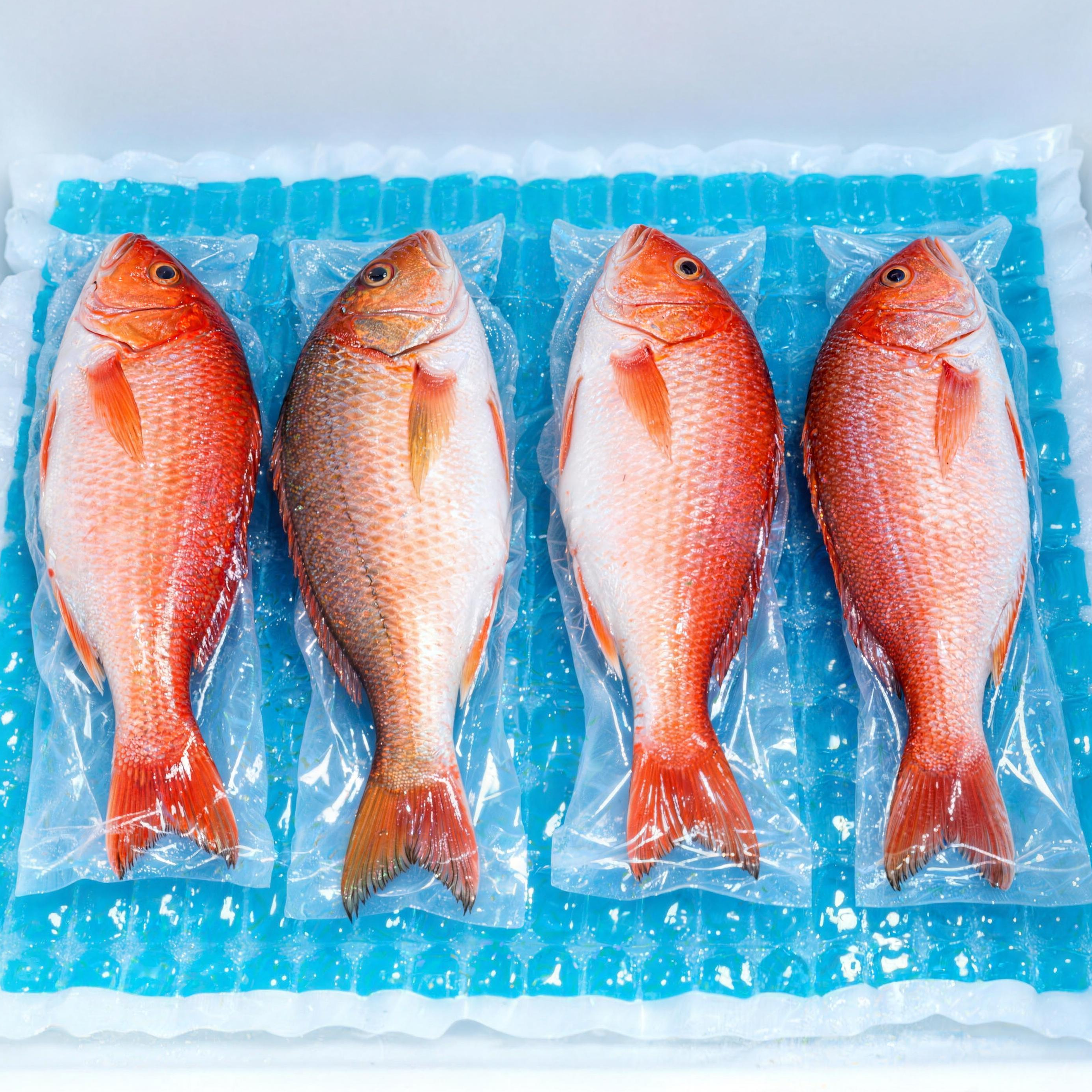 Food Preservation Application